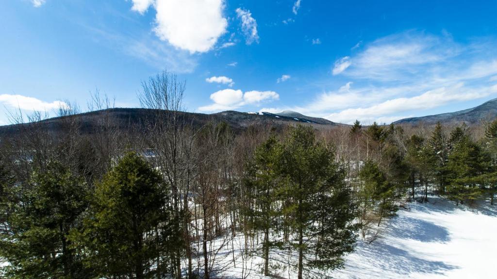 Black Bear Lodge وادي وترفيل المظهر الخارجي الصورة