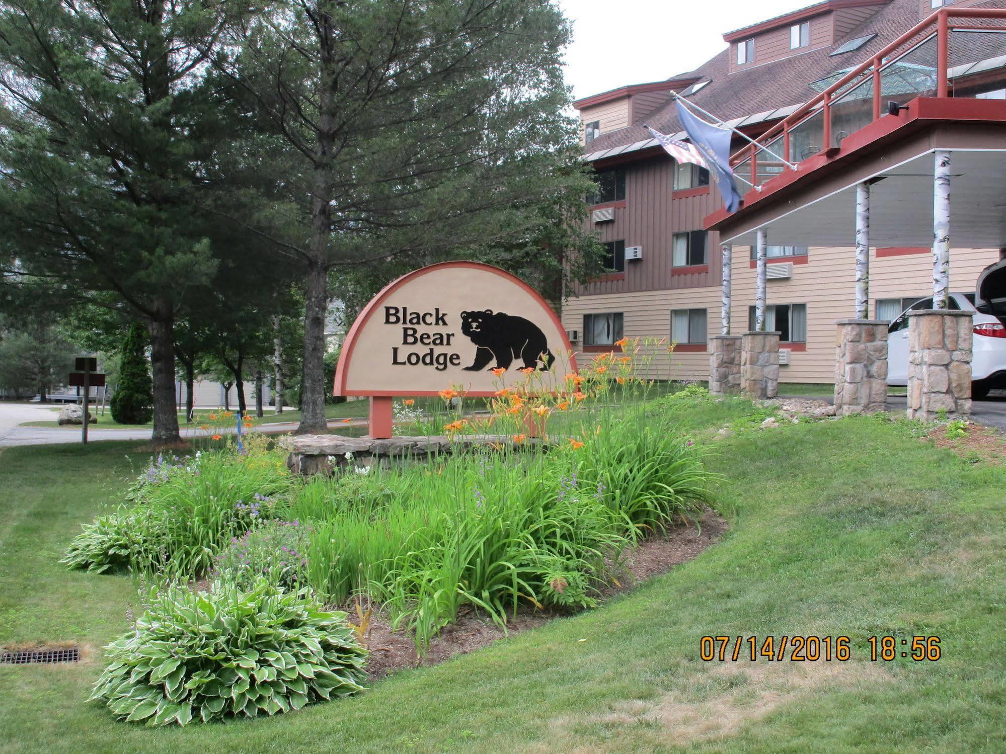 Black Bear Lodge وادي وترفيل المظهر الخارجي الصورة